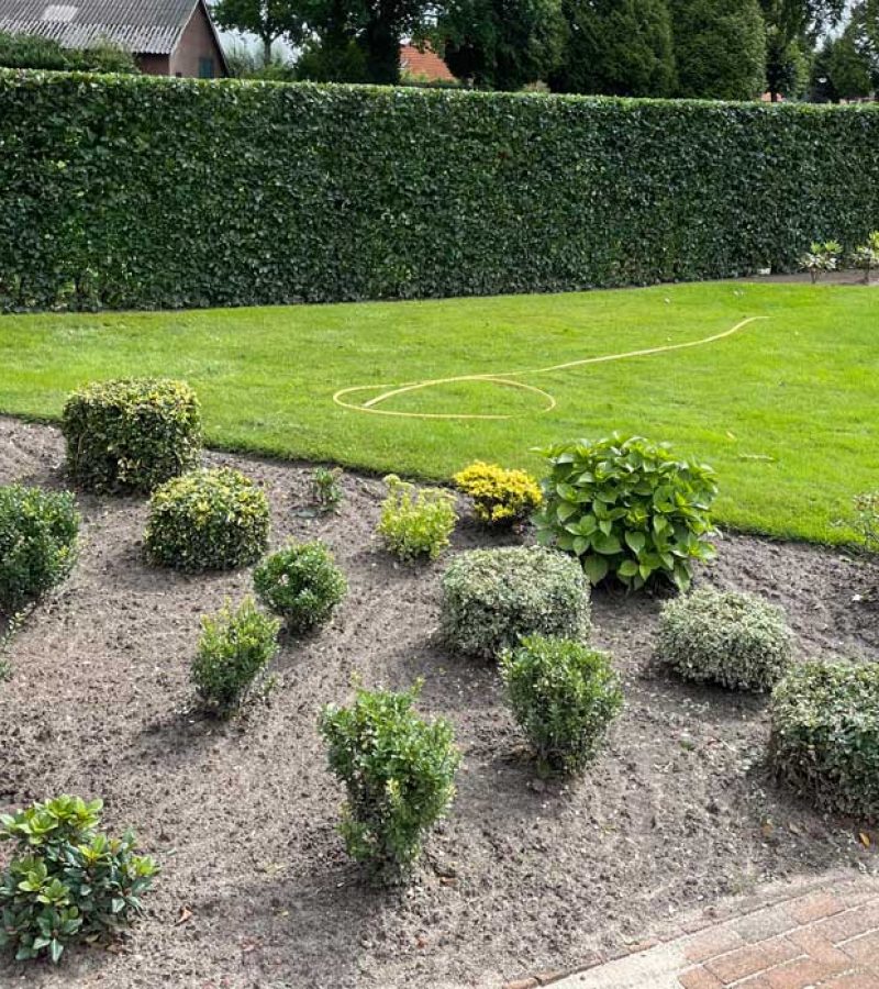 Bram-Schellekens-Hoveniersbedrijf-Tuinaanleg_0547